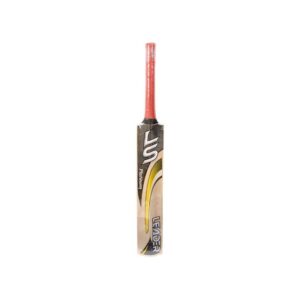 Ls Cricket Bat Pakistani Willow (D)