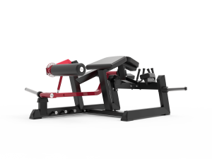 ELLIPTICAL BIKE FGE300
