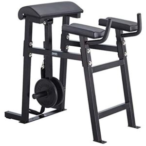 Reverse Hyper Bench-APE Series RH-1