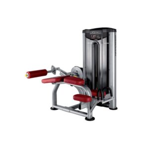Lying Leg Curl L030