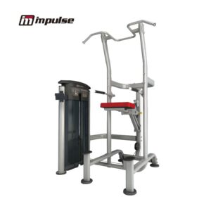 WEIGHT ASSISTED CHIN/DIP COMBO IT9520 