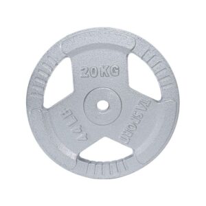 PAINT PLATES 20KG 3 HOLES WITH HANDLE SYP20 GREY