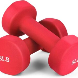 NEOPRENE DUMBELL JLDB03-8 8LB*2 54040110