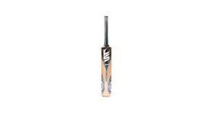 LS CRICKET BAT ENGLISH WILLOW (A)