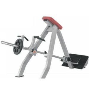 T GYM