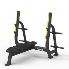 GYM80 INCLINE BENCH CN004009