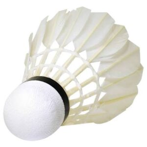 WISH DUCK FEATHER SHUTTLECOCKS W-06 SPEED 76