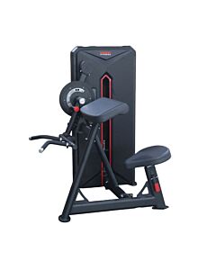 YORK BICEPS & TRICEPS EXERCISE MACHINE