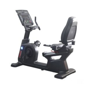 YORK RECUMBENT BIKE PROFESSIONAL