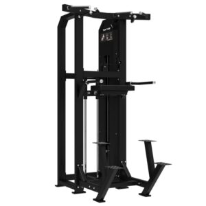 Tunturi Platinum - Dual Assisted Chin Up/Dip - Selectorized - V-series DIR